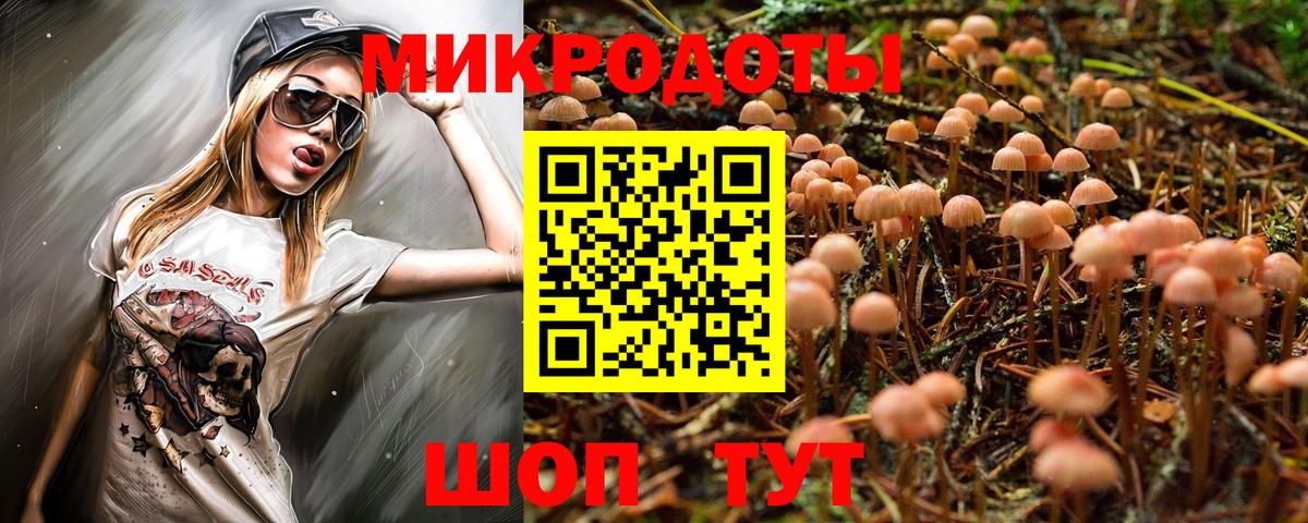 Псилоцибиновые грибы мицелий  Вход с VPN  как найти закладки  Псилоцибиновые грибы Cubensis  Новосибирск 
