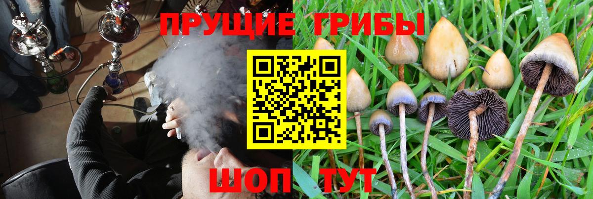 Галлюциногенные грибы GOLDEN TEACHER Новосибирск
